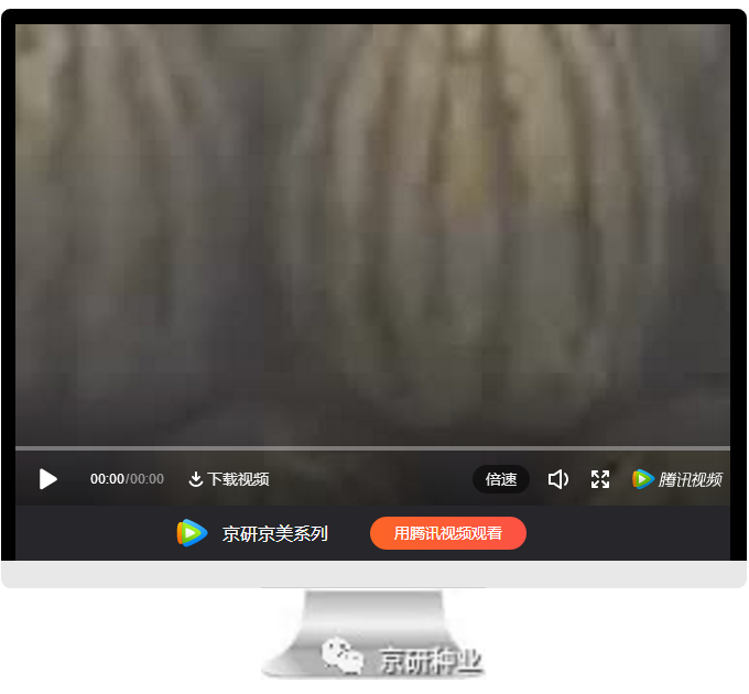 京研种业_10.png