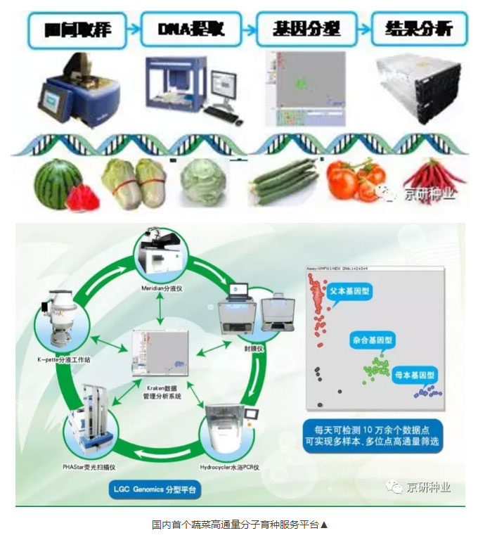 京研种业_10.jpg