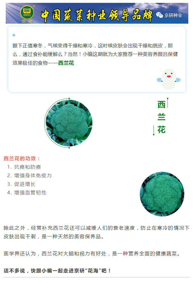 京研种业_01.jpg