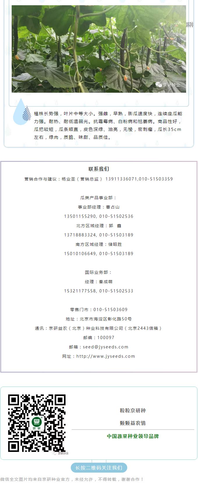 京研种业_08.jpg