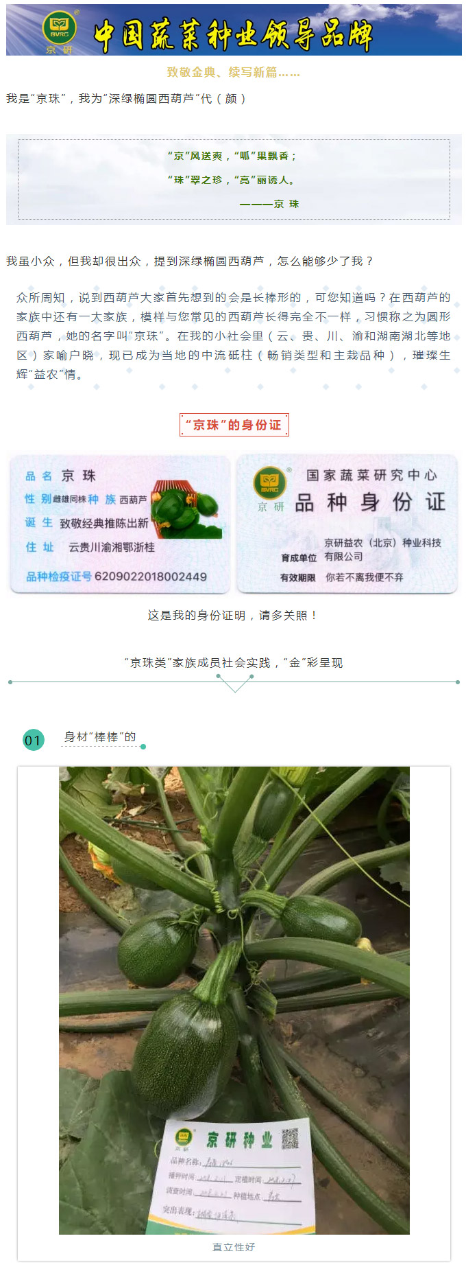 我是“京珠”，我为“深绿椭圆西葫芦”代言（颜）！_01.jpg