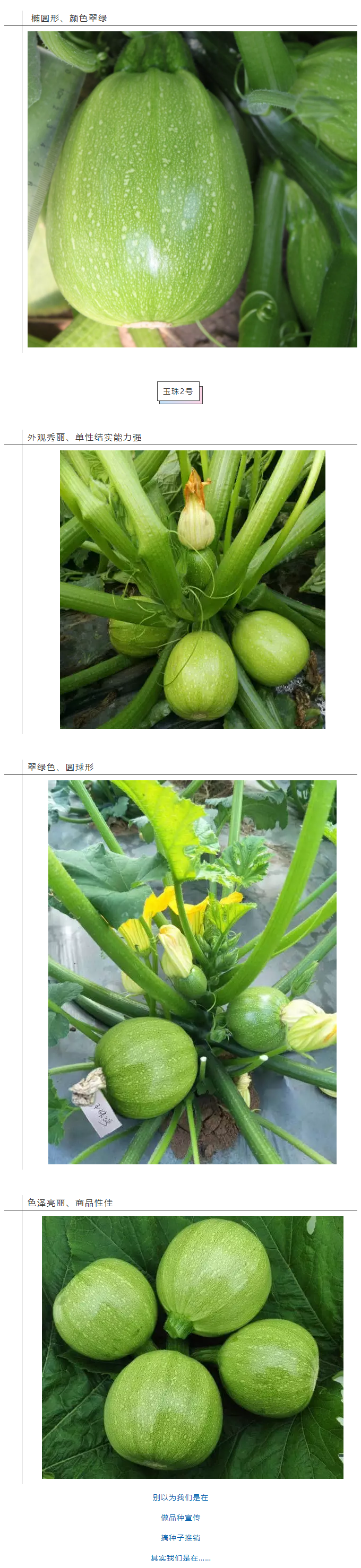 京研“掌上明珠”，百口百称誉！_05.png