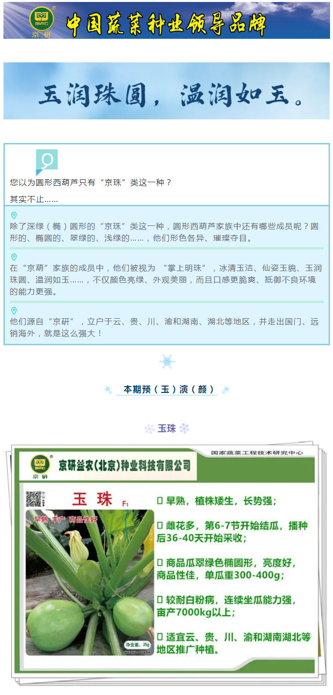 “蔬”中自有颜如玉—玉珠、玉珠2号_01.jpg