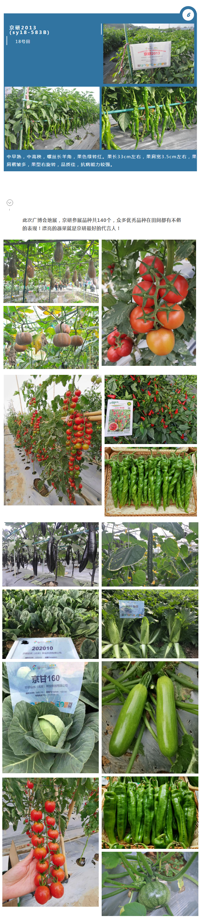 【聚焦广博会】京研家族140个品种的出色表现！我们还在田间驻守等您来品鉴！_04.png