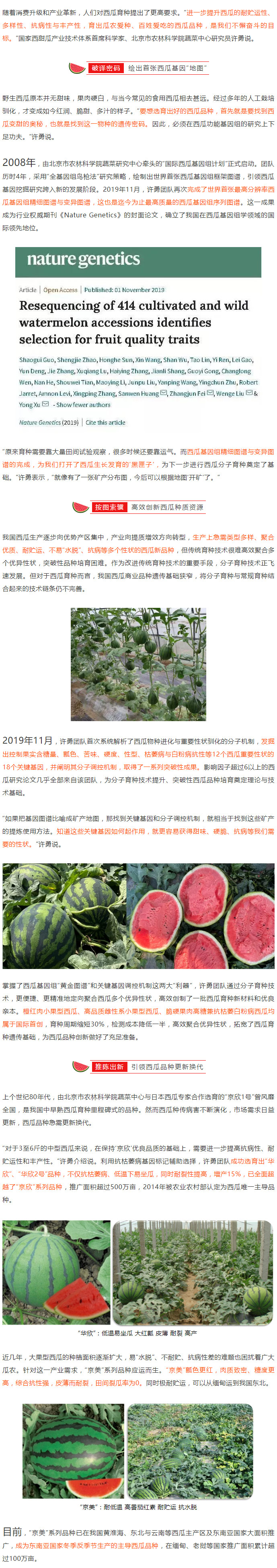 破解“甜蜜”密码！西瓜育种如何达到世界领先？_02.jpg