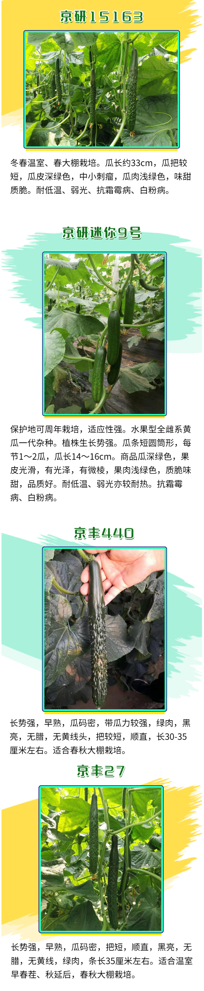 吃清甜的瓜，享乐活人生！_02.jpg